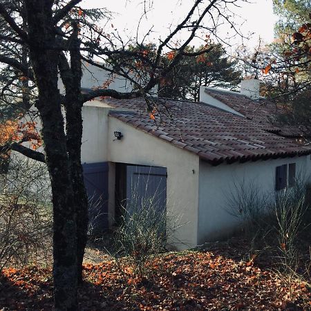 La Maison De Mado Et Sa Cabane Dans Les Arbres Plan d'Aups Eksteriør bilde