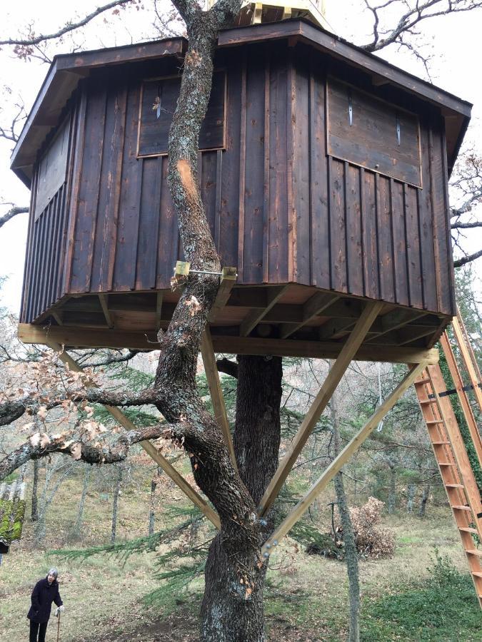 La Maison De Mado Et Sa Cabane Dans Les Arbres Plan d'Aups Eksteriør bilde